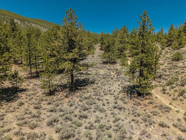 Overlook Dr, Buena Vista, CO 81211