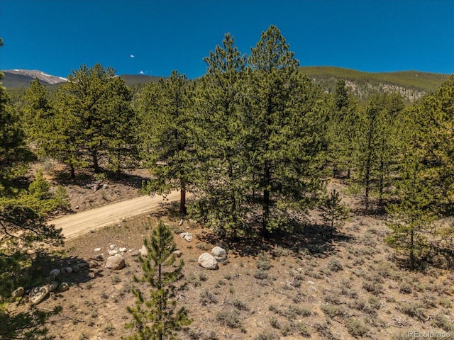Overlook Dr, Buena Vista, CO 81211