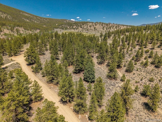 Overlook Dr, Buena Vista, CO 81211