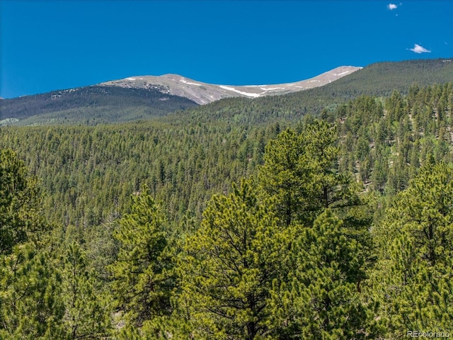 Overlook Dr, Buena Vista, CO 81211