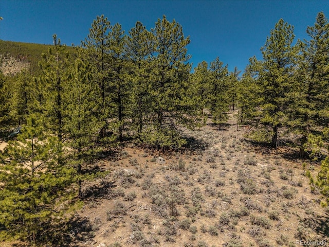 Overlook Dr, Buena Vista, CO 81211