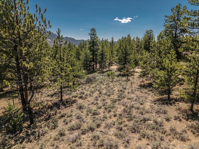 Overlook Dr, Buena Vista, CO 81211