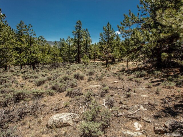 Overlook Dr, Buena Vista, CO 81211
