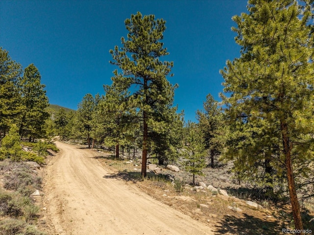 Overlook Dr, Buena Vista, CO 81211