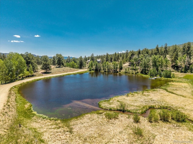 Overlook Dr, Buena Vista, CO 81211