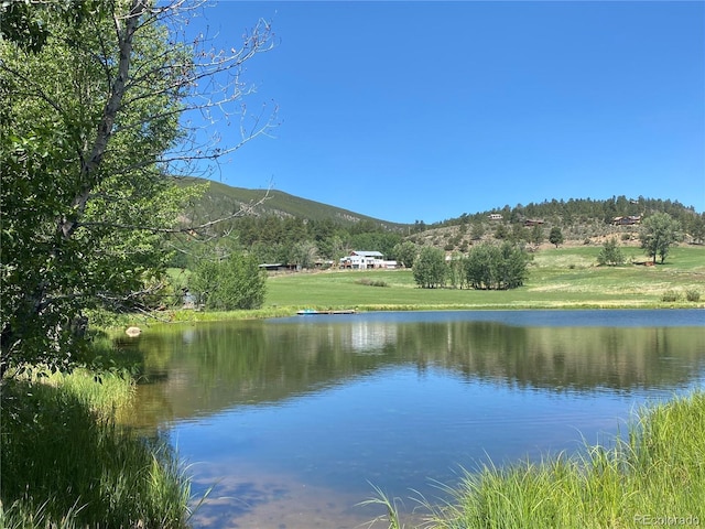 Overlook Dr, Buena Vista, CO 81211