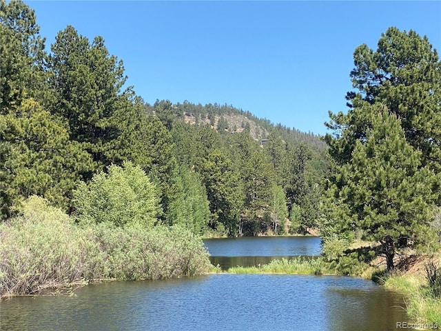 Overlook Dr, Buena Vista, CO 81211