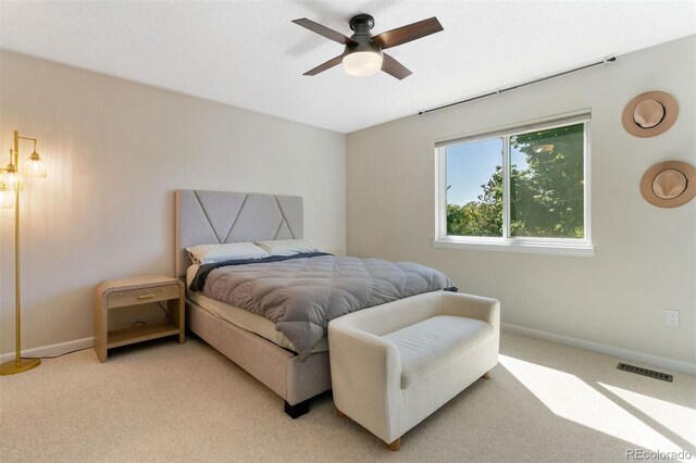 5163 Stillwater Dr, Colorado Springs, CO 80923 - photo 14