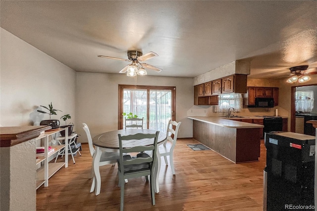 dining room with a ceiling fan, light wood finished floors, and a wealth of natural light