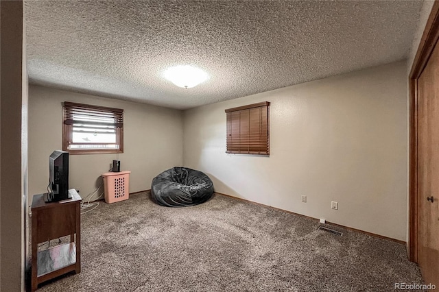 misc room with carpet and a textured ceiling