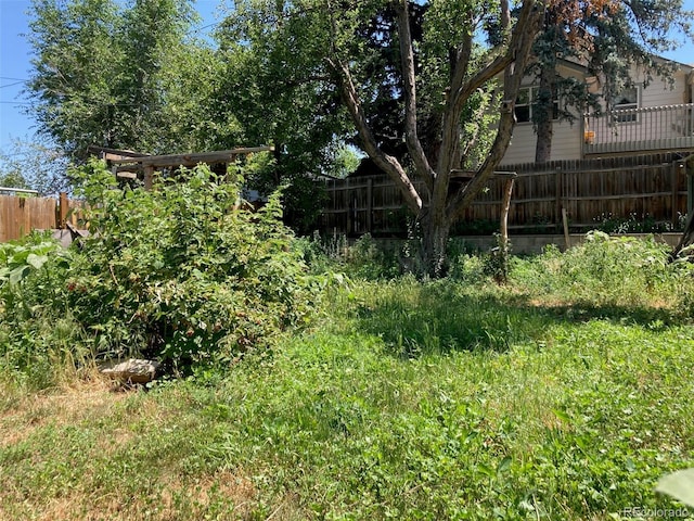 5350 Primrose Ln, Denver, CO 80221 - view of yard