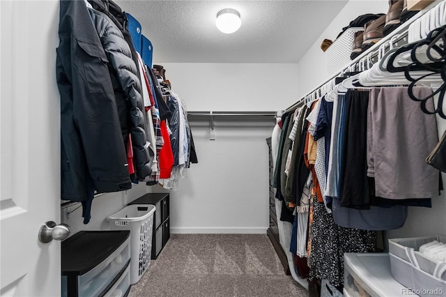 1168 Elbridge Dr, Elizabeth, CO 80107 - spacious closet with carpet
