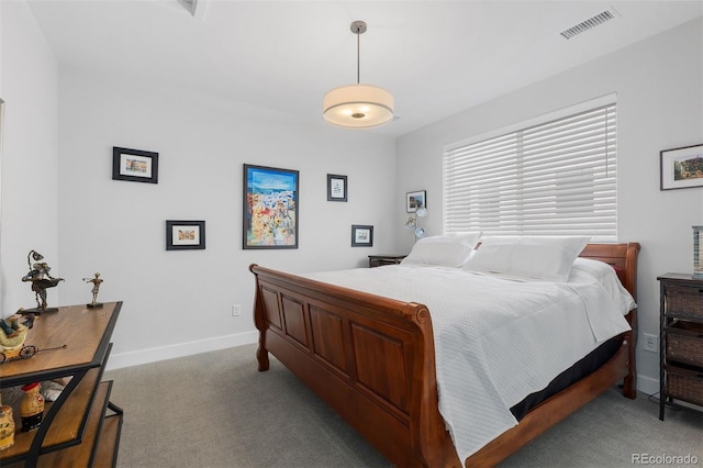 7077 Copper Sky Cir, Castle Pines, CO 80108 - bedroom featuring carpet floors and baseboards