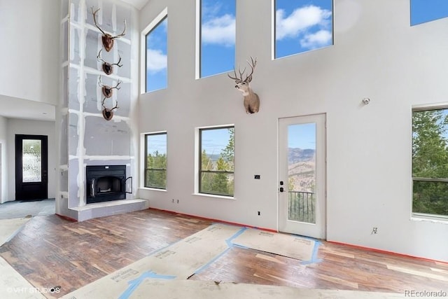 unfurnished living room featuring wood-type flooring and a high ceiling