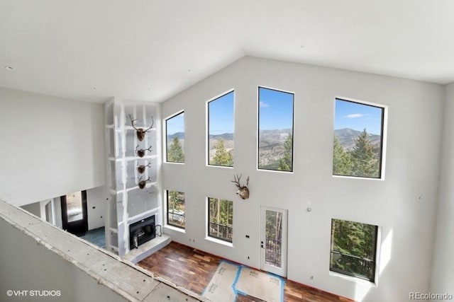 interior space featuring dark wood-type flooring and vaulted ceiling