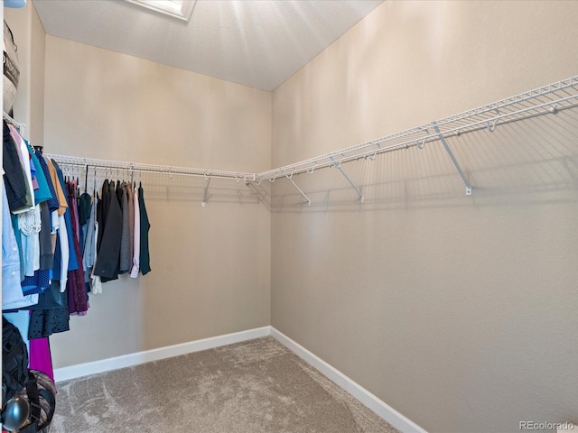 walk in closet featuring carpet