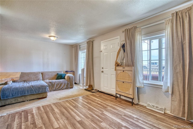 living room featuring a textured ceiling and wood finished floors