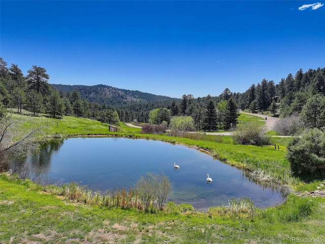 20101 Spring Gulch Rd, Morrison, CO 80465 - water view with a heavily wooded area