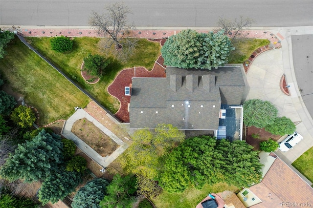 drone / aerial view