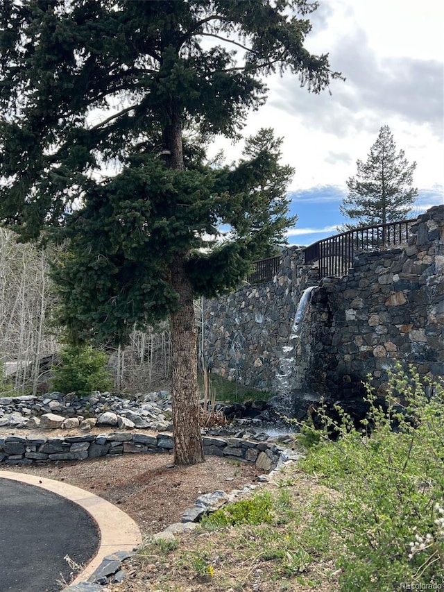 142 Outpost Ln, Evergreen, CO 80439 - view of yard