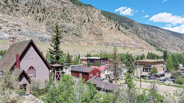 401 Rose St, Georgetown, CO 80444 - view of mountain background