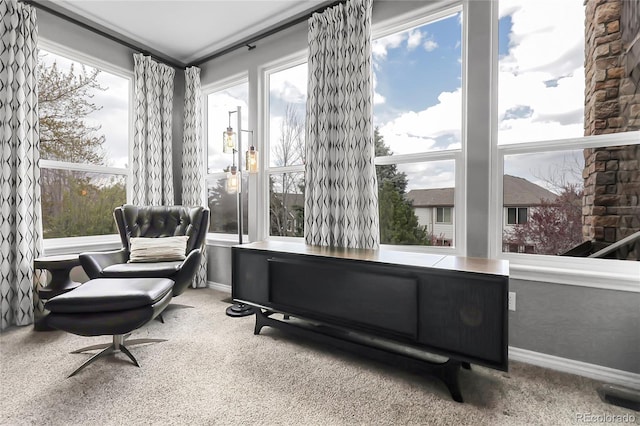 living area with baseboards and carpet floors