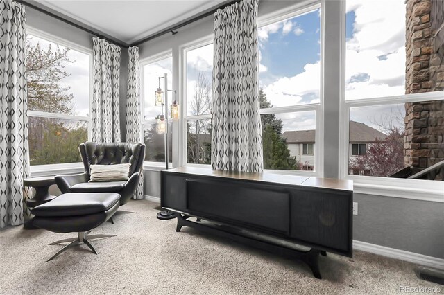 3266 Coyote Hills Way, Castle Rock, CO 80109 - photo 21