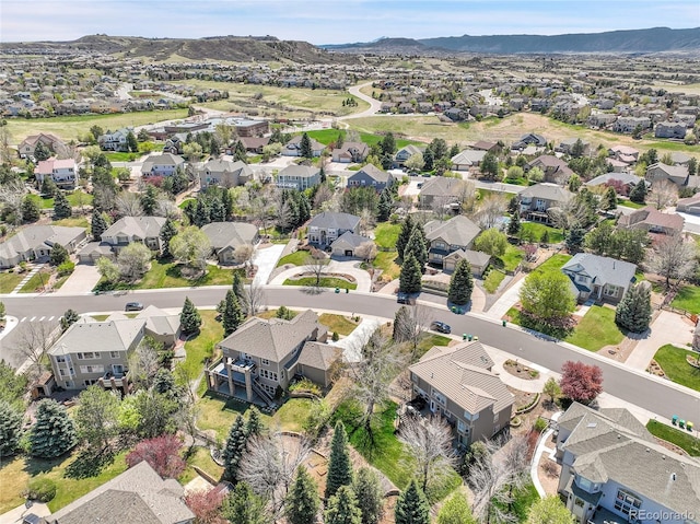 3266 Coyote Hills Way, Castle Rock, CO 80109 - photo 46