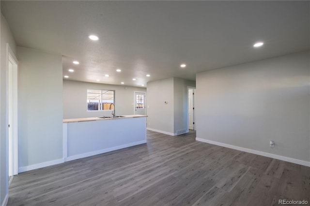 unfurnished living room with wood-type flooring and sink