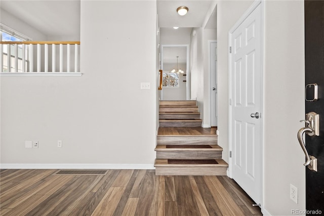 staircase featuring wood-type flooring