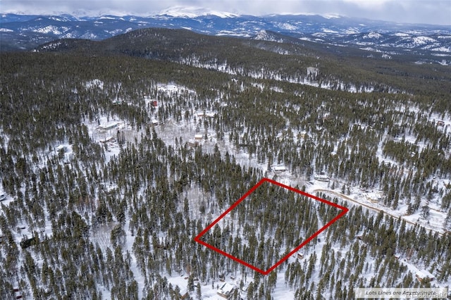 00 Lone Ponderosa Dr, Black Hawk, CO 80422