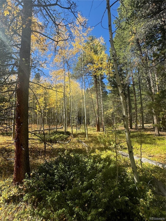 00 Lone Ponderosa Dr, Black Hawk, CO 80422