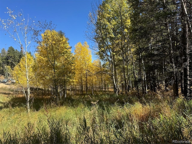 00 Lone Ponderosa Dr, Black Hawk, CO 80422