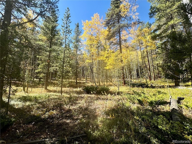 00 Lone Ponderosa Dr, Black Hawk, CO 80422