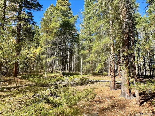 00 Lone Ponderosa Dr, Black Hawk, CO 80422