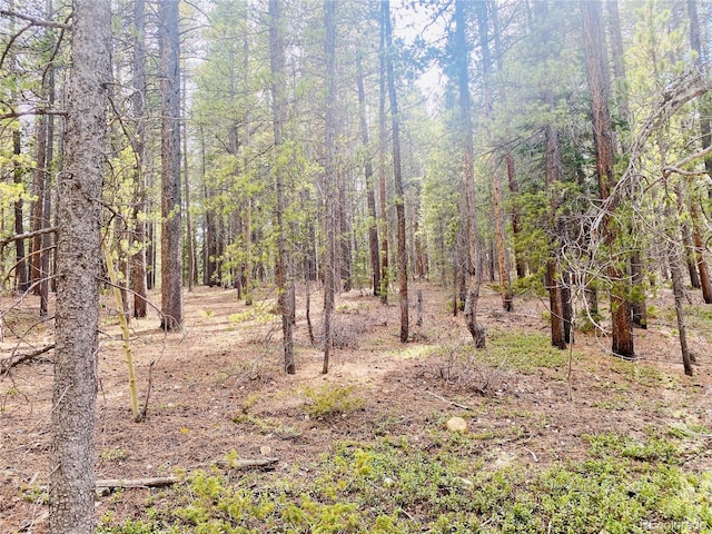 00 Lone Ponderosa Dr, Black Hawk, CO 80422