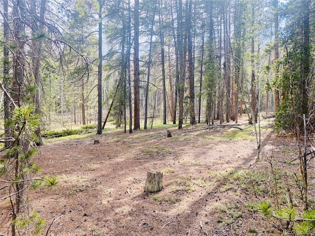 00 Lone Ponderosa Dr, Black Hawk, CO 80422
