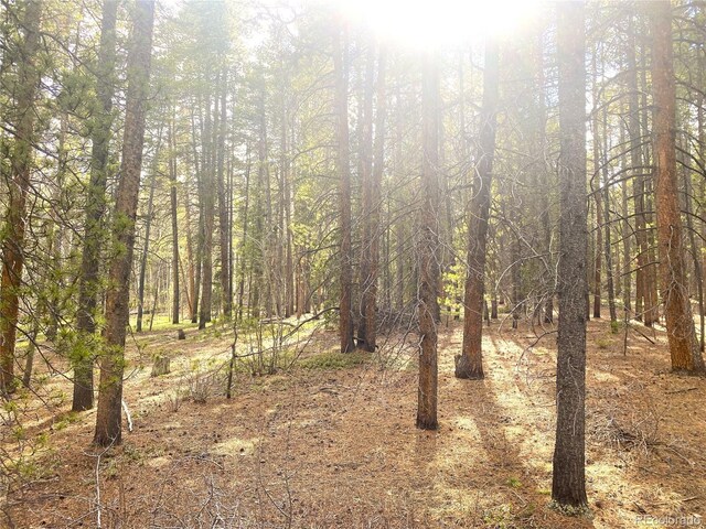 00 Lone Ponderosa Dr, Black Hawk, CO 80422
