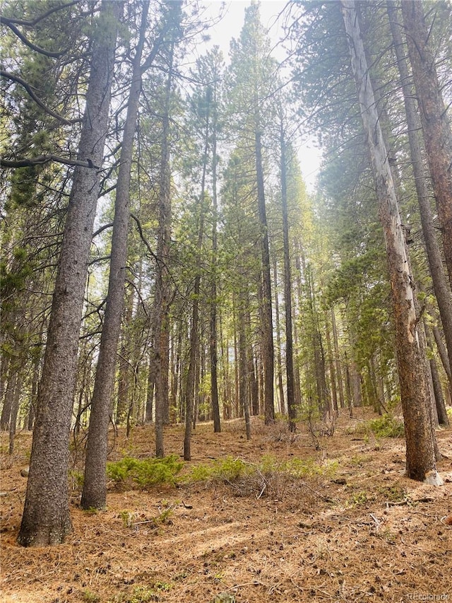 00 Lone Ponderosa Dr, Black Hawk, CO 80422