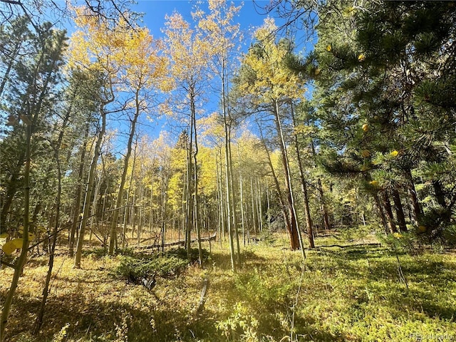 00 Lone Ponderosa Dr, Black Hawk, CO 80422