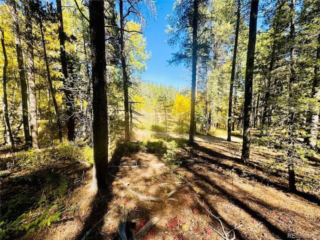 00 Lone Ponderosa Dr, Black Hawk, CO 80422