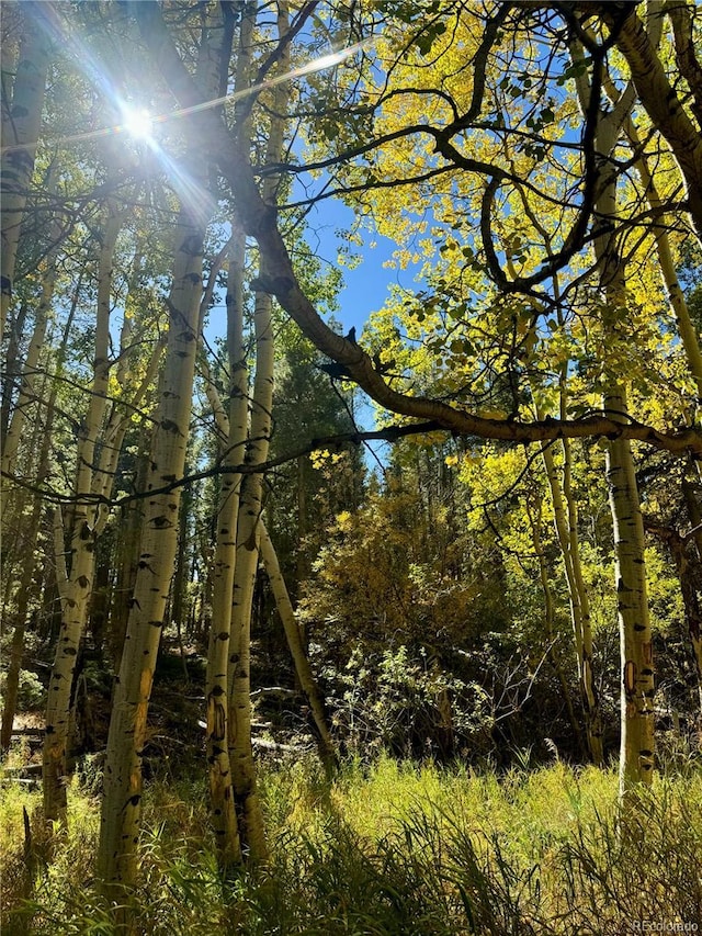 00 Lone Ponderosa Dr, Black Hawk, CO 80422