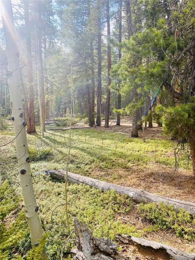 00 Lone Ponderosa Dr, Black Hawk, CO 80422