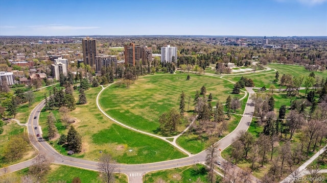 bird's eye view