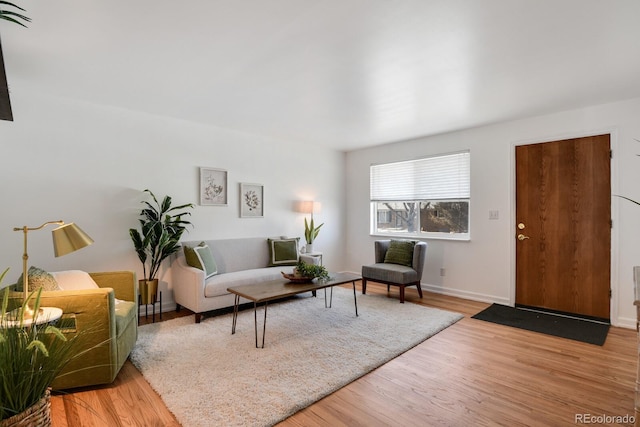 living room with light hardwood / wood-style flooring