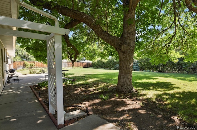 view of yard featuring a patio area