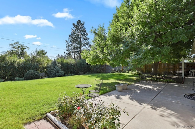 view of yard with a patio area