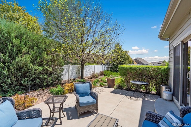 641 Denali Ct, Windsor, CO 80550 - fenced backyard featuring a patio area