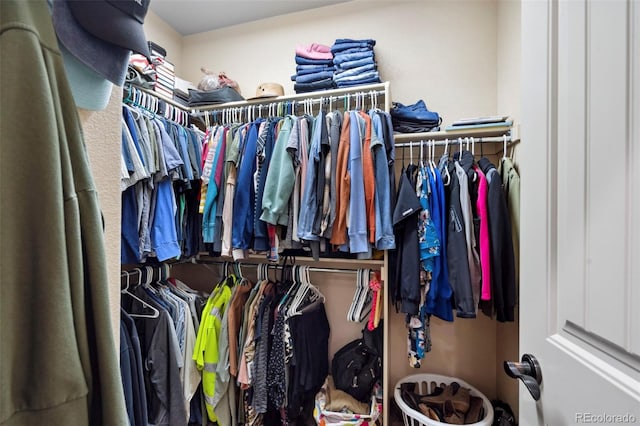 641 Denali Ct, Windsor, CO 80550 - view of walk in closet