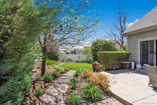 641 Denali Ct, Windsor, CO 80550 - view of yard with a patio area